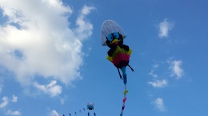 Large foil kite by the Gubbio Kite club 