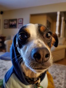 Ivy with her hoodie